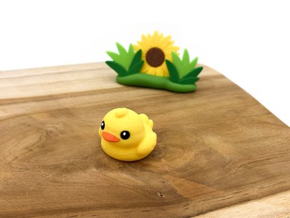 kachnicka postavicka