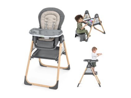 Ingenuity Židlička jídelní multifunkční Wesley™ 0m+ do 23kg