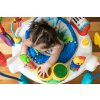 Baby Einstein Skákadlo/aktivní centrum 2v1 Neighborhood Symphony 6m+ do 11 kg