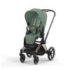 Cybex Set kočárek 2v1 Priam Rose Gold - Leaf Green
