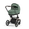 Cybex Set kočárek 2v1 Priam Rose Gold - Leaf Green