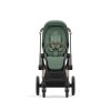 Cybex Set kočárek 2v1 Priam Rose Gold - Leaf Green