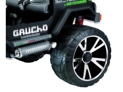 Gaucho Superpower shock a