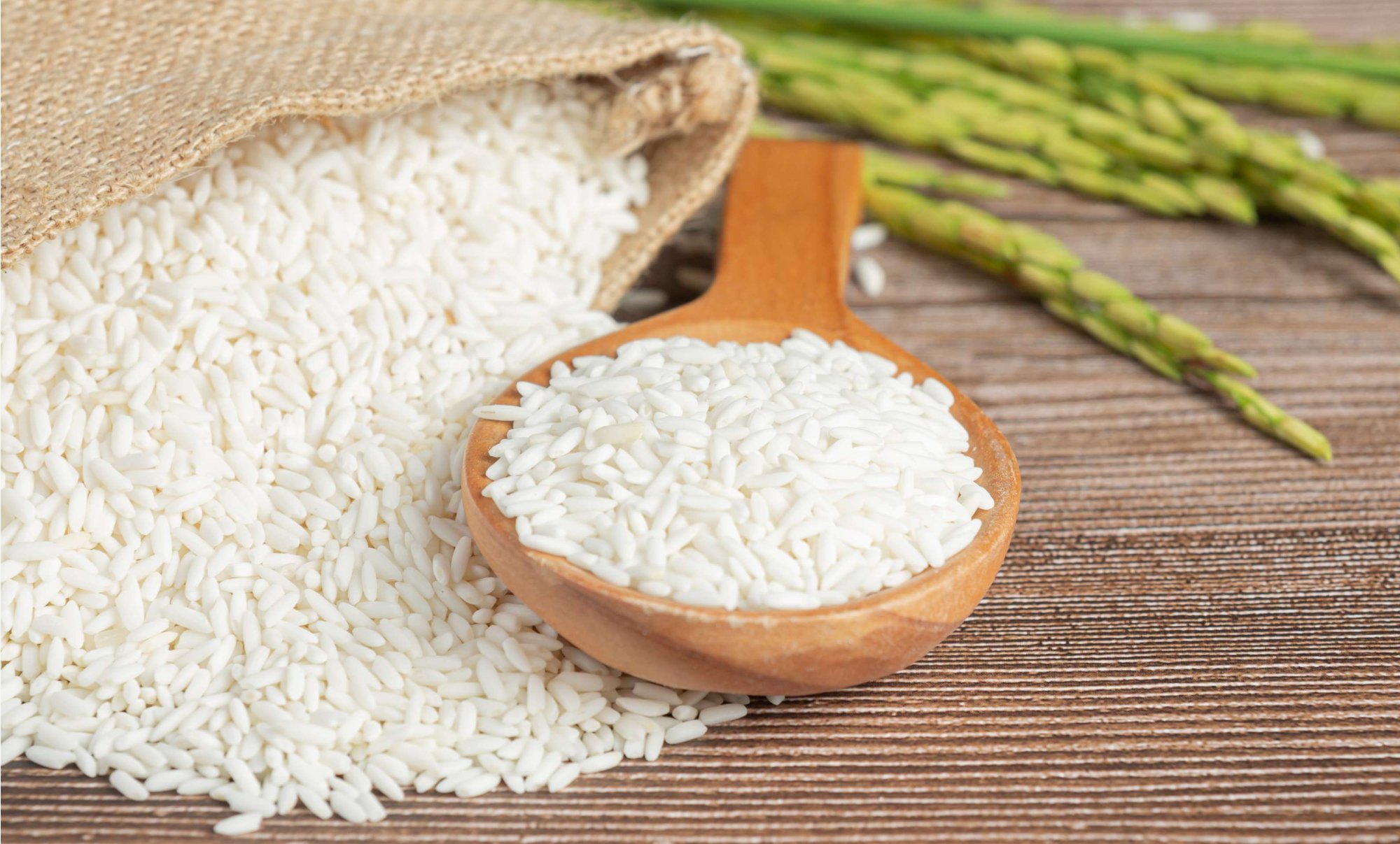 Rozdíl mezi různými druhy rýže