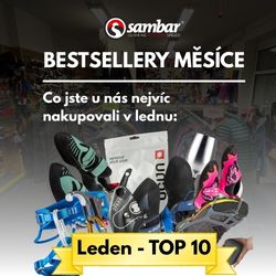 Bestsellery měsíce: leden