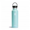 hydroflask standard flex cap 21oz dew