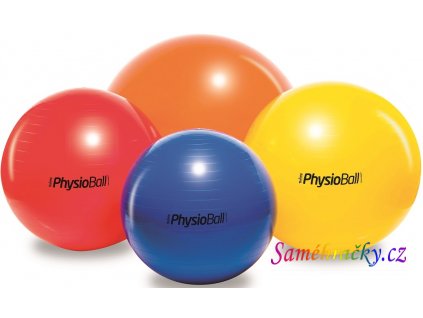 physioball standard ledragomma 1