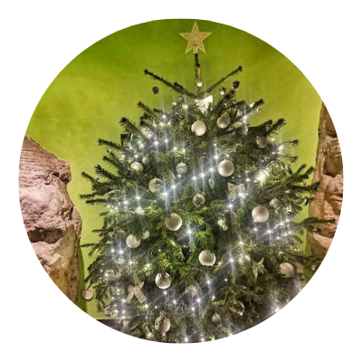 Jak to vypadá na Vánoce u nás