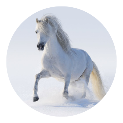 Svatý Martin | Tipy na aktivity s dětmi