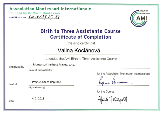 certificate_AMI_0-3_Assistant