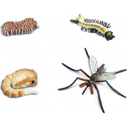Animal Life Životní cyklus komár