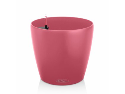 Classico Color sunset crush
