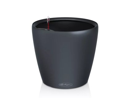 CLASSICO Color LS bridlicova