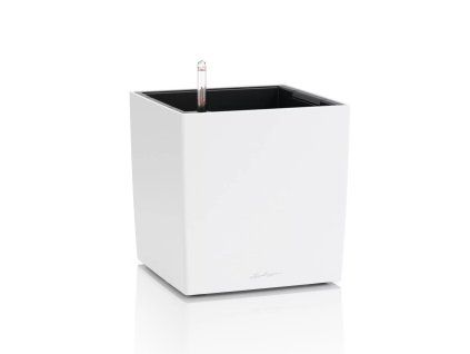 Cube Color 30 bílá