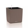 Cube Color 30 kapučíno