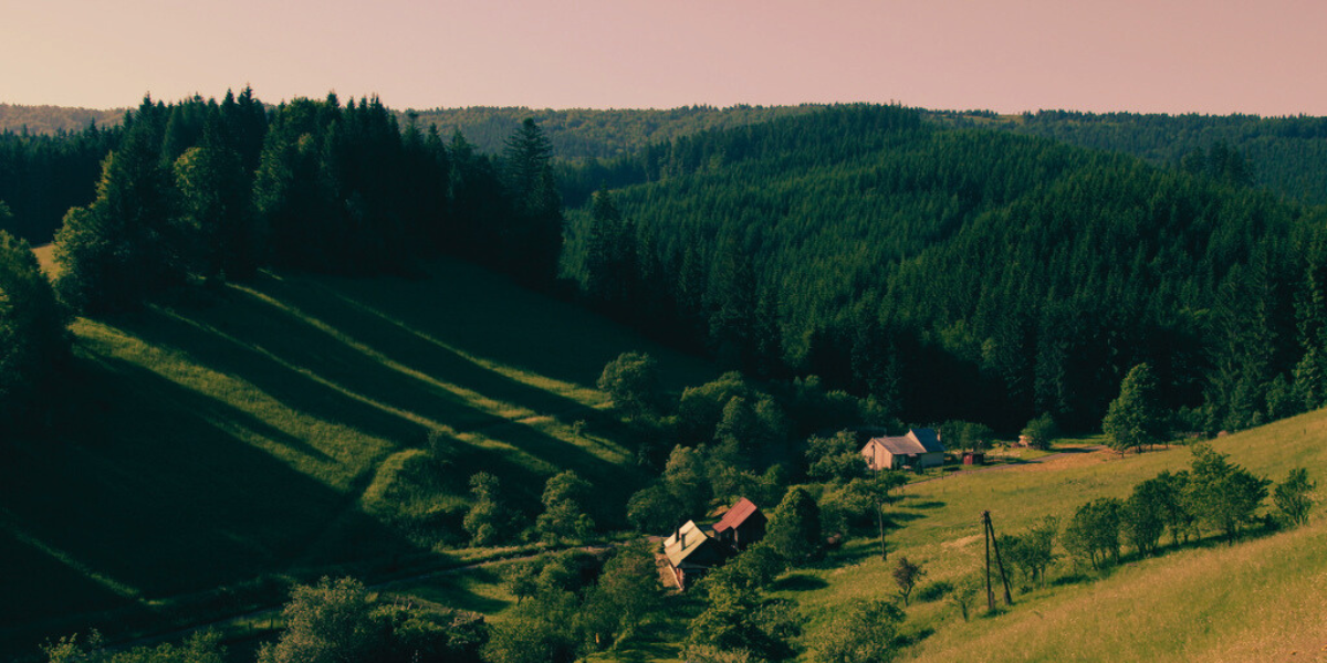 Výhled