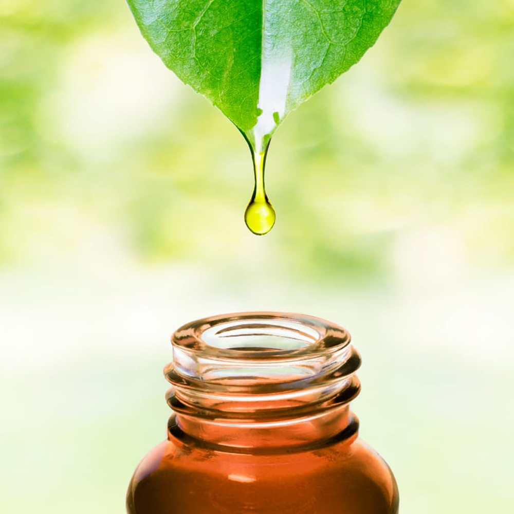 Rastlinné oleje ako súčasť plienok pre deti