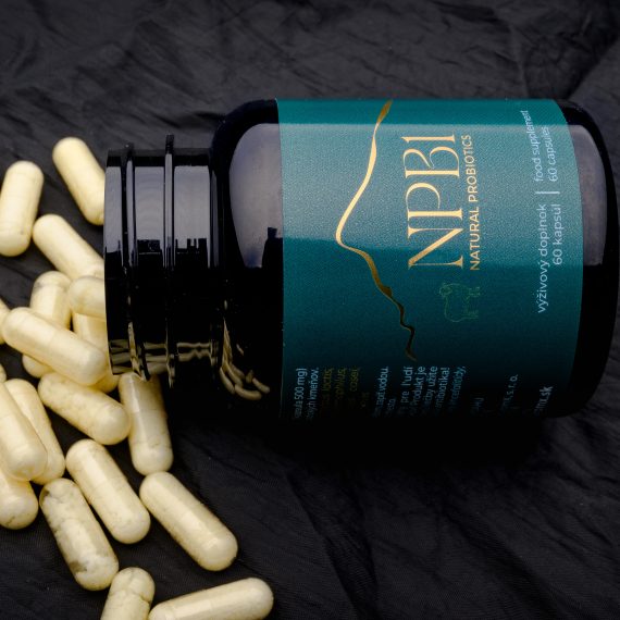 Naturálne probiotikum NPB1 z ovčej bryndze