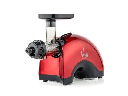 Vidia VTG-001 twin gear juicer