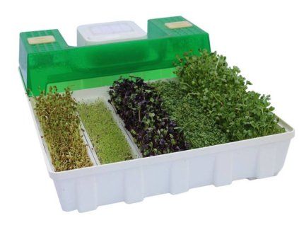 EasyGreen Light Sprouter
