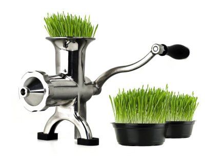 BL-30 stainless steel wheatgrass juicer