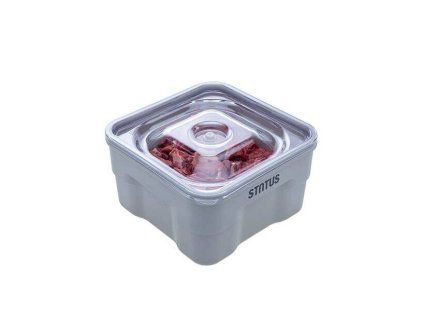 Gastro vacuum container (4 liter)