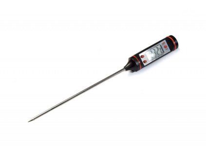 Digital Pen Thermometer