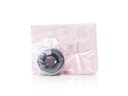 Champion juicer oil seal