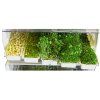 20648 easygreen sprouter sprouts