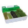 EasyGreen Light Sprouter