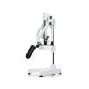 1404 sana citrus press white