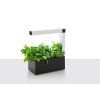 Tregren HERBIE Indoor Garden (black)