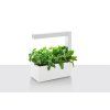 Tregren HERBIE Indoor Garden (white)