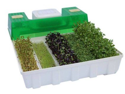 EasyGreen Light Sprouter
