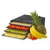 Dehydrator Excalibur 2400