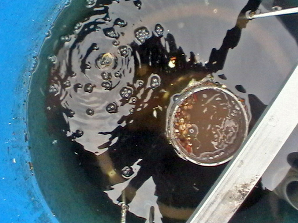 Bakterie do čov a jejich funkce