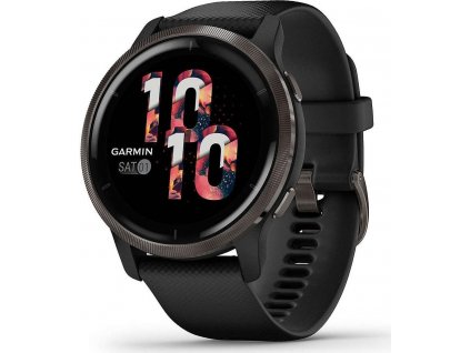 Chytré hodinky Garmin Venu 2 Slate/Black Band