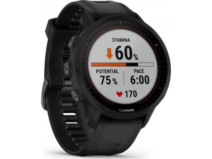 Forerunner 955 Solar Black GARMIN