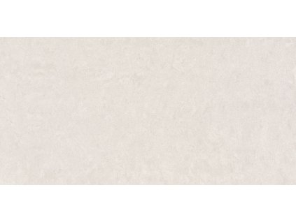 Project ivory rec web