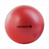 Fitlopta GymnastikBall Maxafe® 53 cm