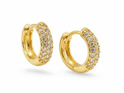 Modern Gold Hoop Earrings with Zircons