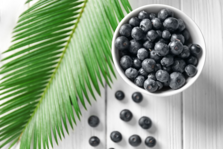 ACAI - AMAZONSKÉ TAJEMSTVÍ ZDRAVÍ A KRÁSY