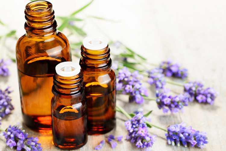 Levandule, kdo by ji neznal