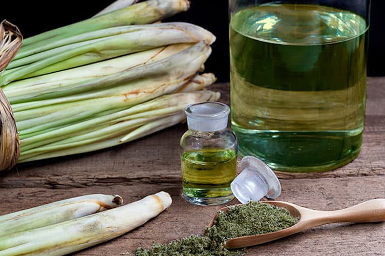 Lemongrass, povzbuď svoje smysly