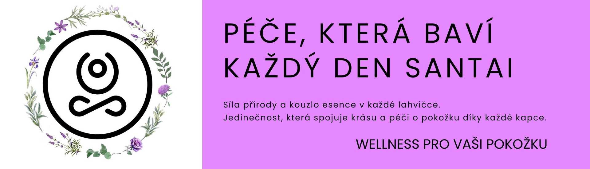 Uvodni stranka Santai