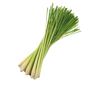 lemongrass_PNG-300x300