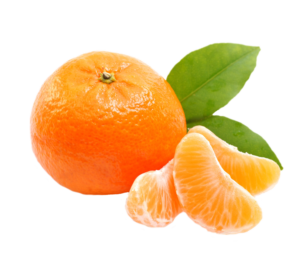 mandarinka_santai.png