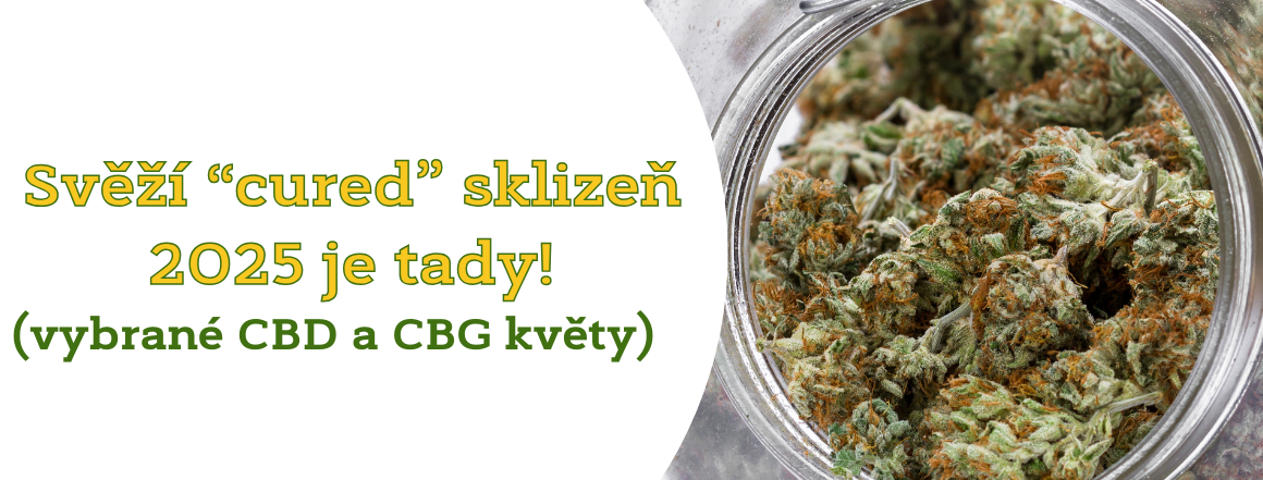 Nove CBD listopad PC