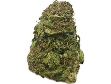 CBD Lemon Pop - CBD 18 % - THC 0,5 %