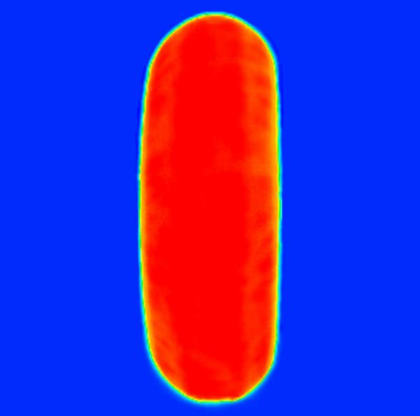 4e886f9f-528e-4b01-932f-2f48a28c3361